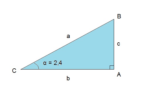 triângulo retângulo do exercício cujo ângulo alfa vale 2,4.